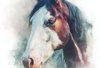 draw a beautiful portrait of your horse