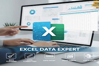 do excel data cleaning, formatting, data entry, pivot table and charts