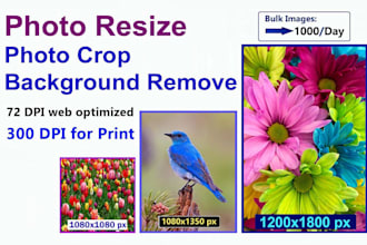 bulk resize images and cropping, photo resizing, 300 dpi, compress