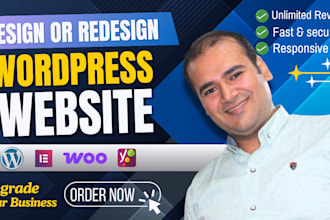 design or redesign a responsive wordpress website