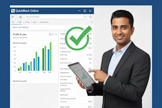 be your expert quick books and xero controller