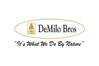 do logo design graphic designer and graphical post