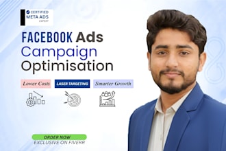 manage facebook and instagram ad campaign, fb meta ads expert
