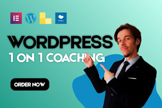 make you a wordpress pro