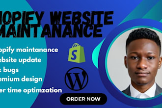 provide shopify bug fix service,website monthly maintenance