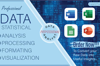 do data formatting and visualization with excel expert