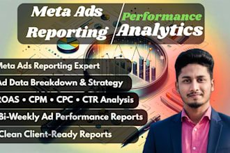facebook and meta ads performance reports with insights