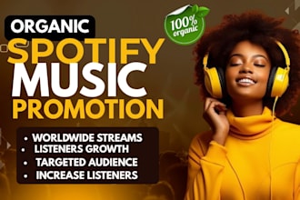 run USA targeted spotify music ads with SEO optimization