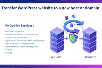 professional wordpress website transfer service