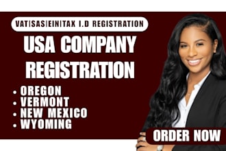 handle USA llc setup, filing, ein, and business docs online fast