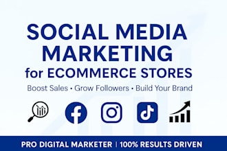 manage shopify store facebook ads campaign, instagram ads fb meta ads marketing
