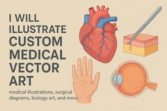illustrate custom medical vector art, medical manual, biology art or surgical