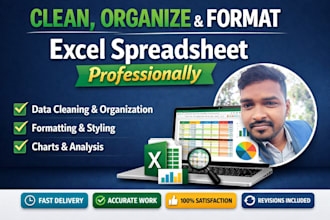 clean, organize, and format excel spreadsheets professionally