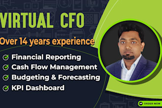 be the virtual cfo for your business growth