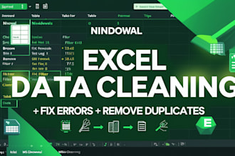 clean and organize your excel or CSV data