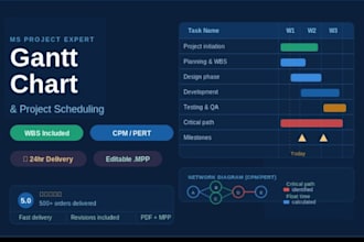 create gantt chart, wbs, project schedule, network diagrams