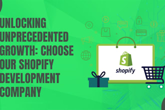build a modern, professional shopify store or a custom shopify b2b portal