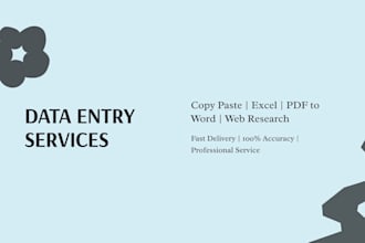 do accurate data entry copy paste typing testing and database related work