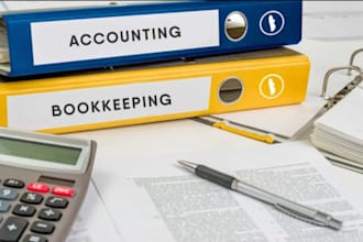 provide professional bookkeeping and accounting services