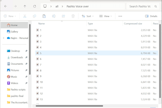 do voice overs in dari pashto farsi and english