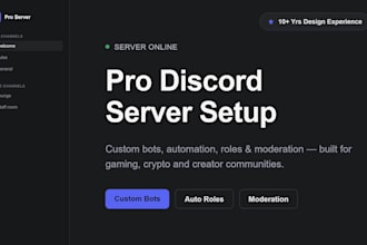 create a pro discord server setup with custom bots and automation