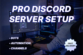 professional discord server setup with automation and discord bots