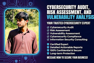provide cybersecurity audit, risk assessment, and vulnerability analysis