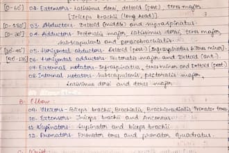 create neat handwritten notes