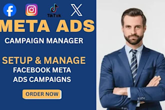 setup and manage facebook meta ads campaigns, campaign manager