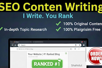 do SEO content writing and article writing for your website