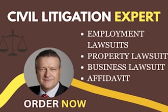 be your civil litigation lawyer for business lawsuits, motions contract disputes