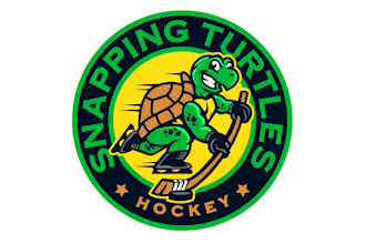 create a premium turtle hockey mascot logo for your sports team