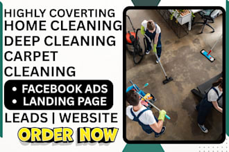 generate home cleaning deep cleaning carpet cleaning leads and build a website