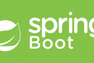 develop fix or upgrade your java spring boot backend and micro services