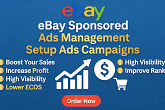 manage your ebay sponsored ads to increase sales