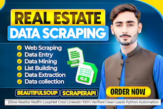 do web scraping, data scraping, and data mining using python