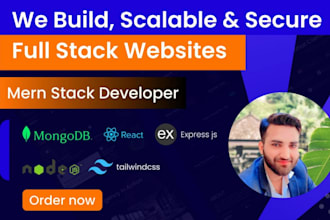 develop professional saas web applications