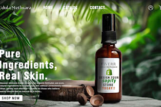 design shopify store, dropshipping store, store graphic design