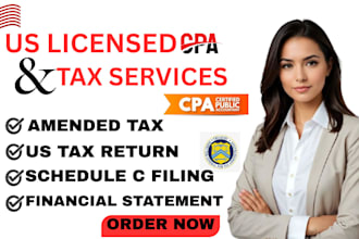 file US llc, corporate and individual taxes with fbar and fincen
