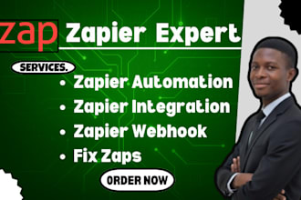 be your zapier automation expert, zapier integration, ghl zapier, zapier webhook