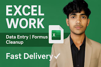 do excel work data entry formulas and spreadsheet cleanup