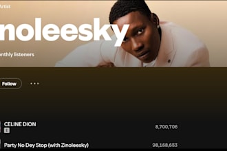 do spotify promotion, run targeted ads tiktok music marketing and playlist pitch