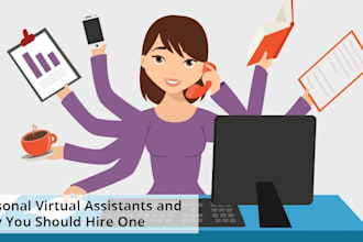 be your shopify admin and store VA