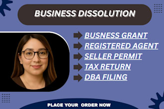 setup business dissolution and legal filing specialist
