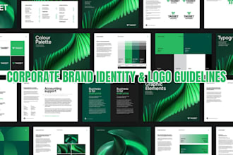 design business brand book, corporate brand identity and logo design guidelines