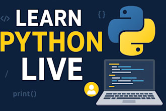 teach you python language