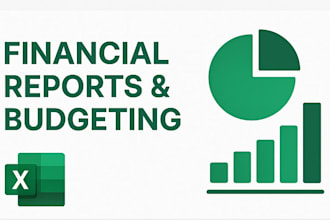 create financial reports, statements, and analysis in excel