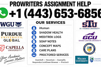 do capella walden chamberlain bsn msn and dnp examsoft lockdown examsoft sophia