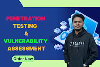 perform penetration testing and vulnerability assessment