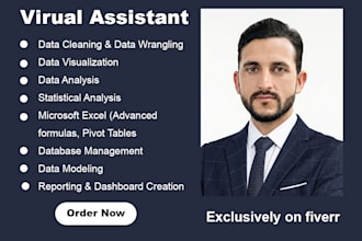 provide fast excel data cleanup and professional formatting